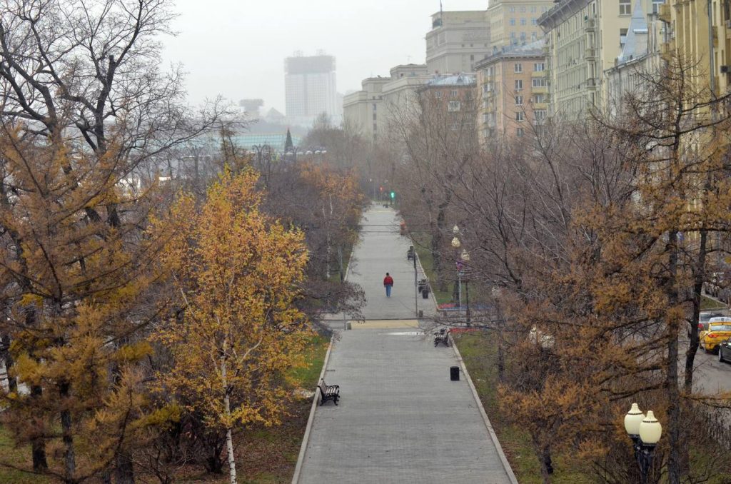 Как московские учреждения культуры помогают участникам СВО