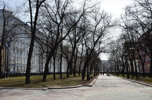Гости москвы