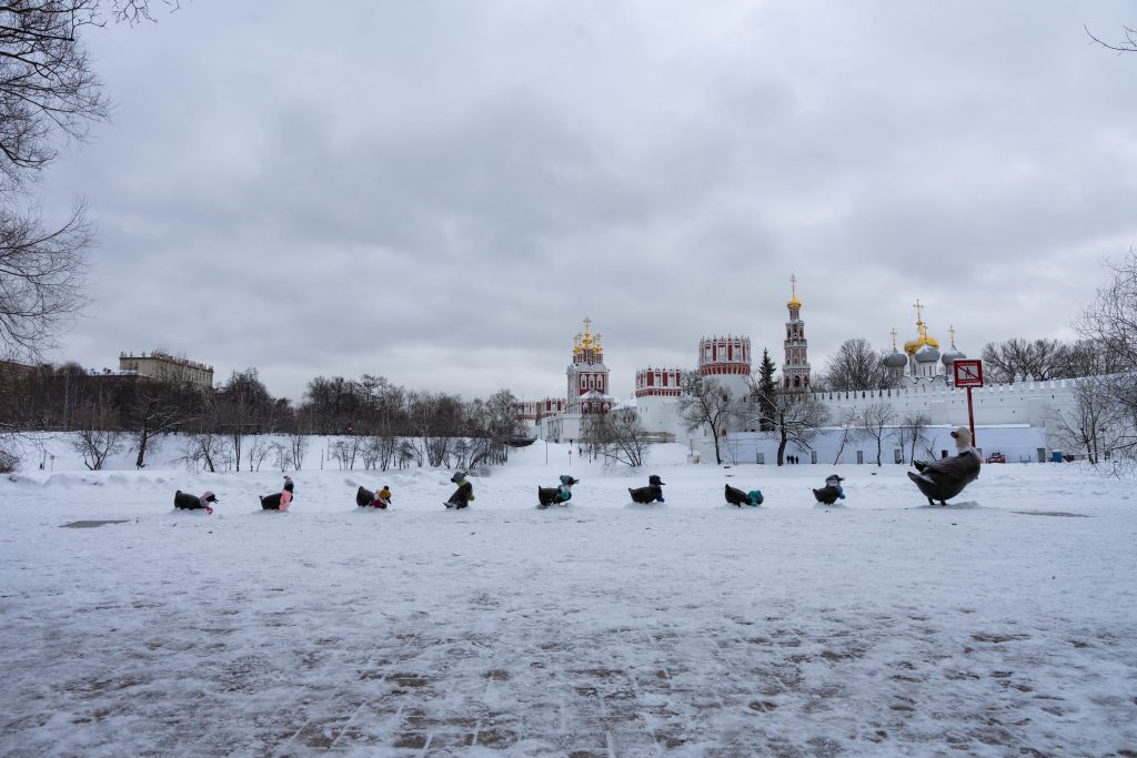 Не все утки улетают на юг