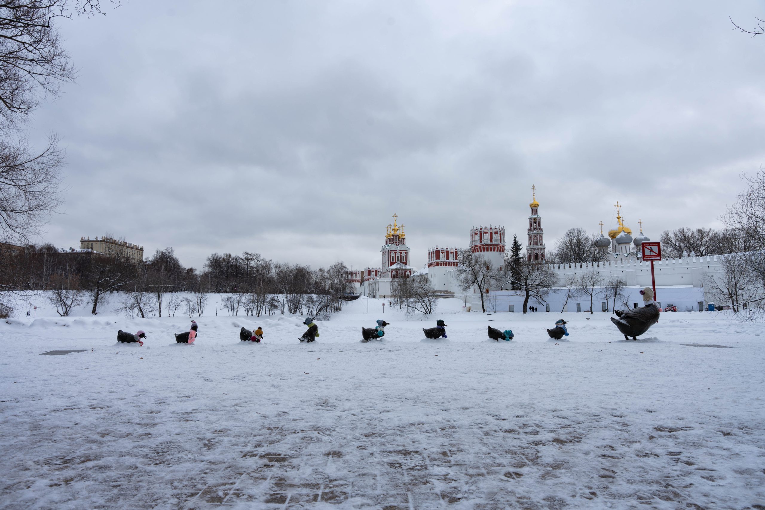 Не все утки улетают на юг. Фото: Андрей Мишин, «Вечерняя Москва»