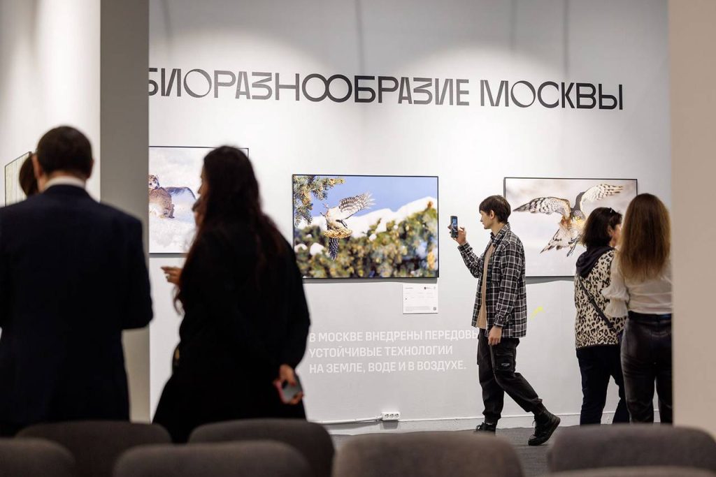 Горожане могут принять участие в фотоконкурсе «Золотая черепаха» в номинации «Дикая природа Москвы»