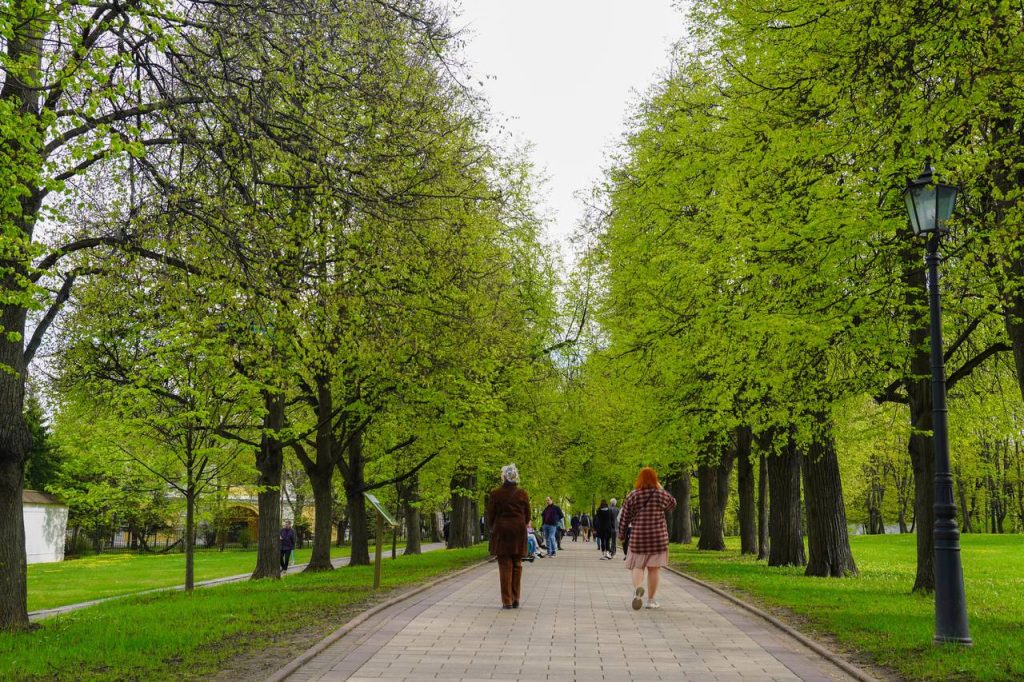 Какую программу подготовили парки Москвы на предстоящие выходные