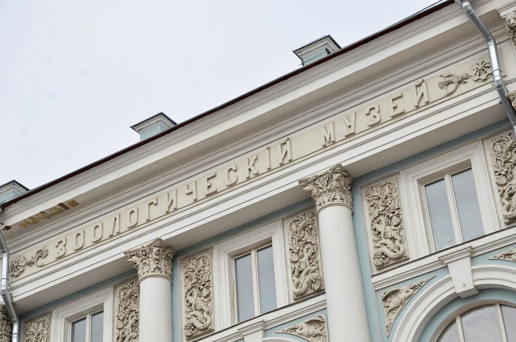 Фасады здания Зоологического музея МГУ отреставрируют до конца года
