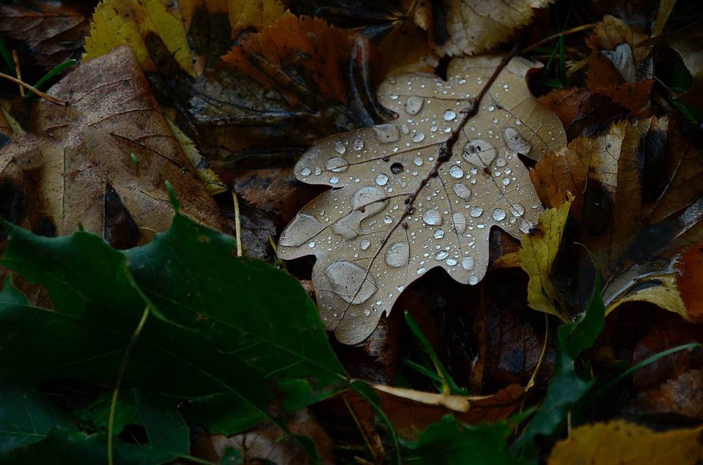 Оставляем дачу в безопасности