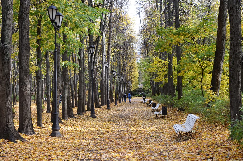 Осенние прогулки по усадьбам, или В проекте «Активный гражданин» началось голосование за самый интересный сезонный маршрут