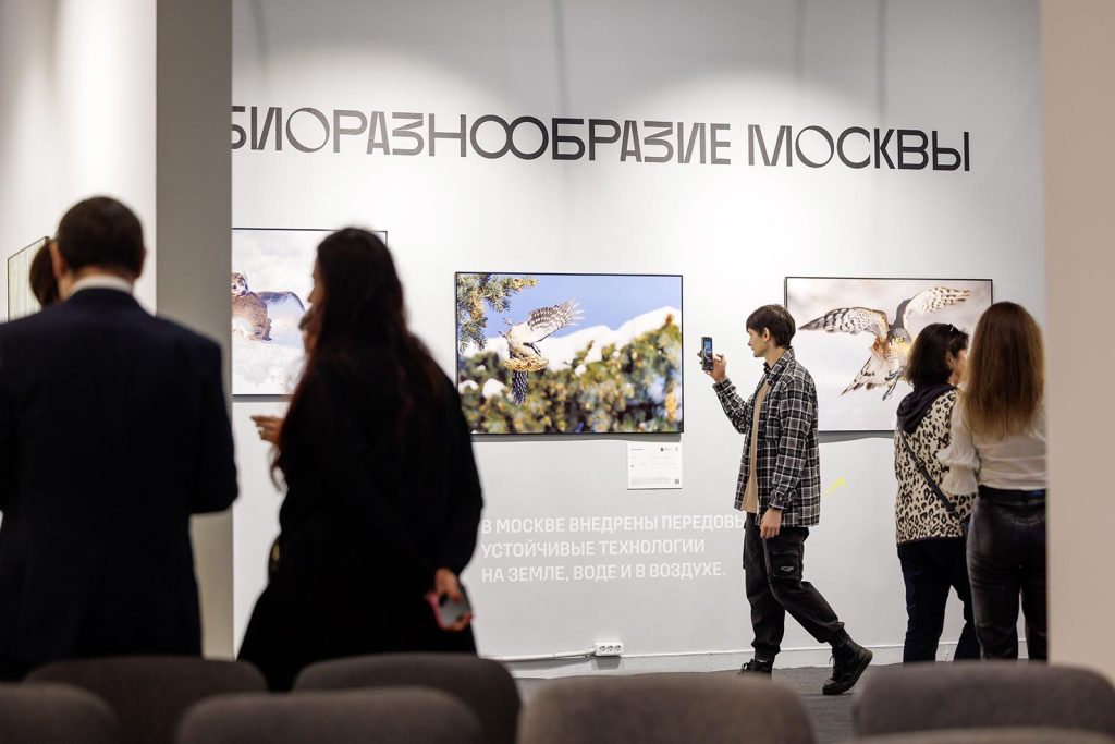 Фотографы дикой природы: победителей голосования в «Активном гражданине» наградили в Новой Третьяковке