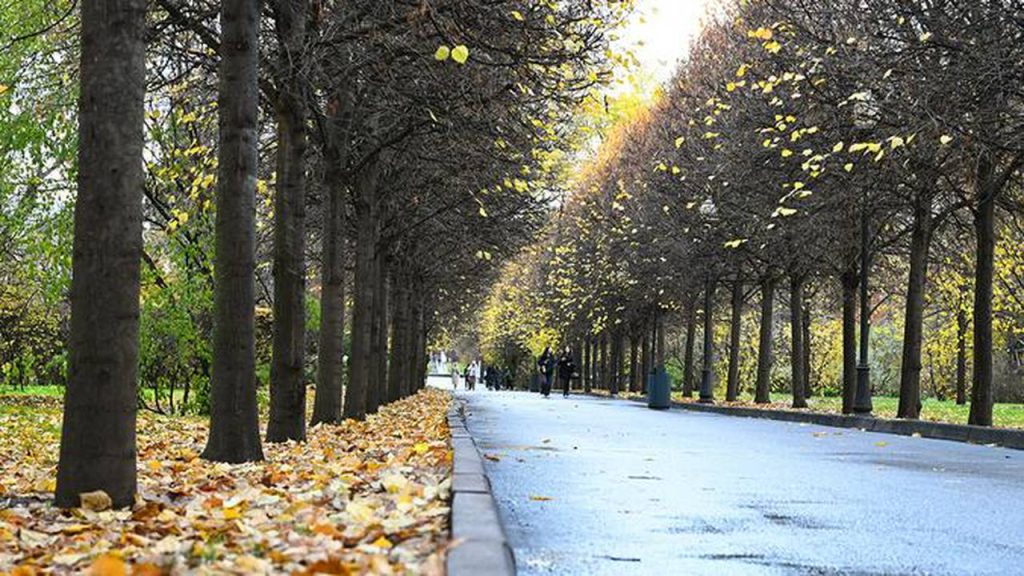 Синоптик Тишковец: Облачная и теплая неделя ожидается в Москве