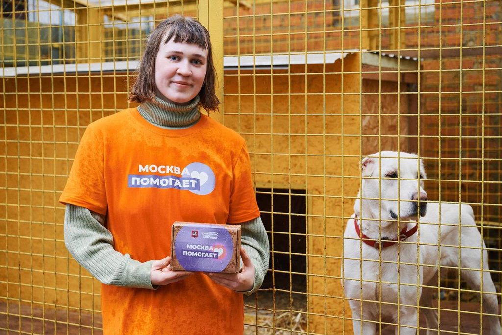 Москвичи собрали 18 тонн зоотоваров для бездомных животных Белгородской области