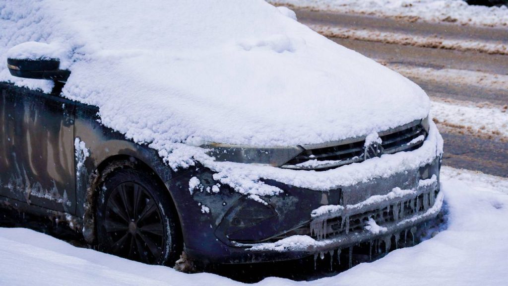 Не забыть проверить машину: как простая привычка может спасти животное