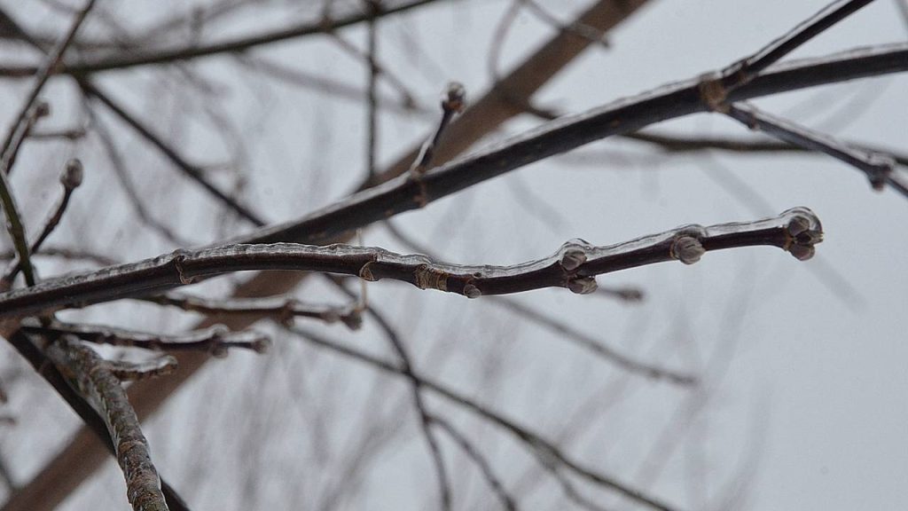 «Желтый» уровень опасности из-за гололедицы продлен в Москве до вечера среды