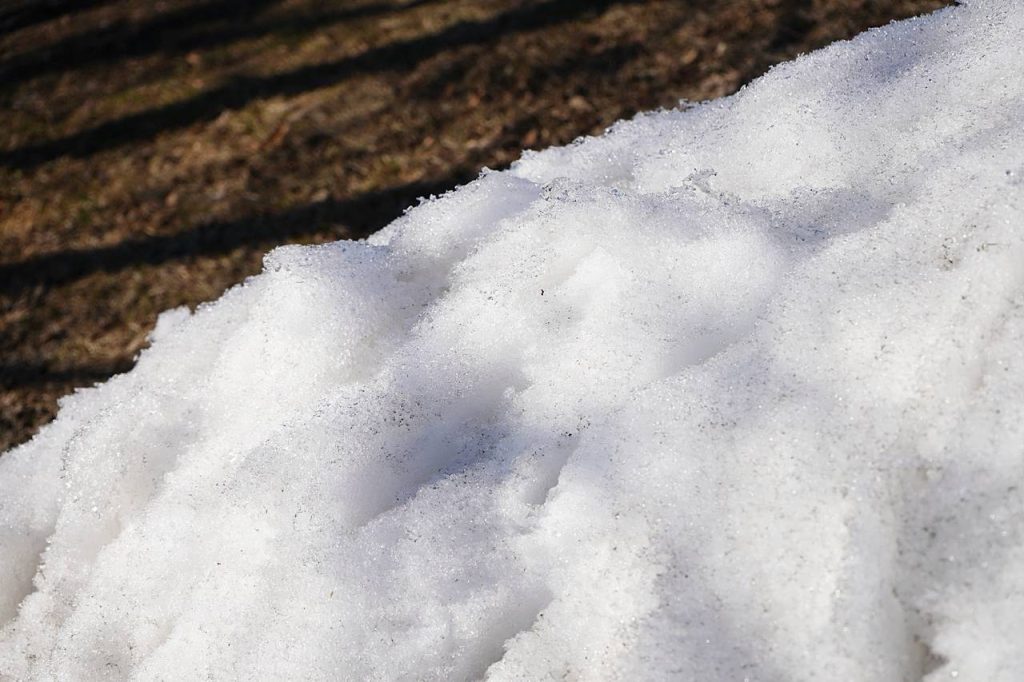 Исчезновение снежного покрова зафиксировано в столице