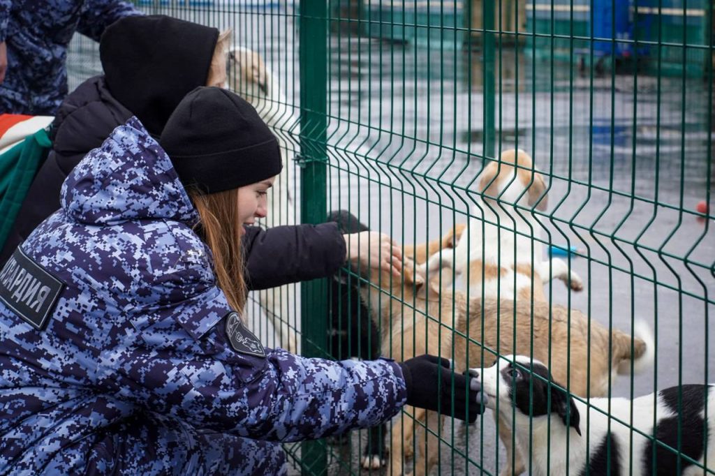 Московские росгвардейцы организовали благотворительную акцию в приюте для животных