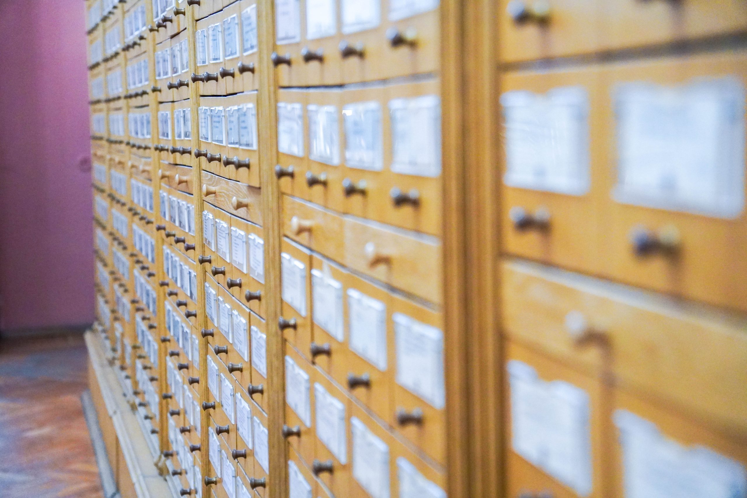 Ребятам дадут возможность изучить документы полярных экспедиций XX века. Фото: Ксения Догонашева, «Вечерняя Москва»