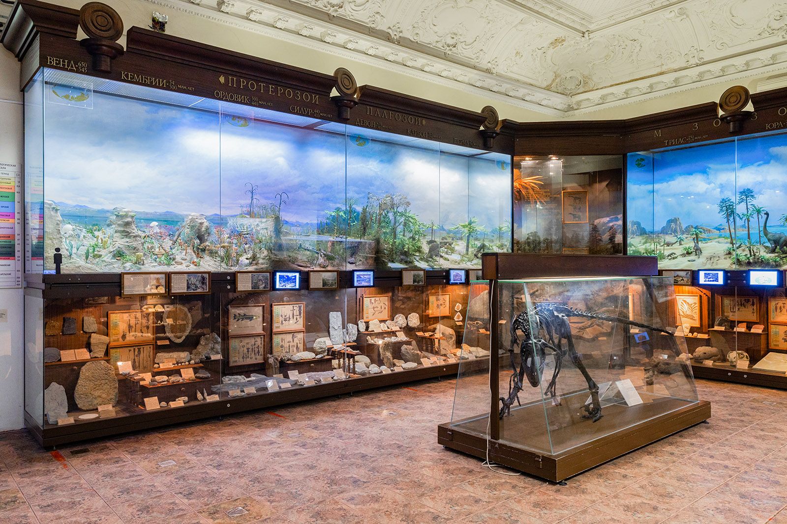 Музей предлагает посетителям уникальное путешествие по всем царствам живого мира. Фото: Государственный биологический музей имени Климента Тимирязева