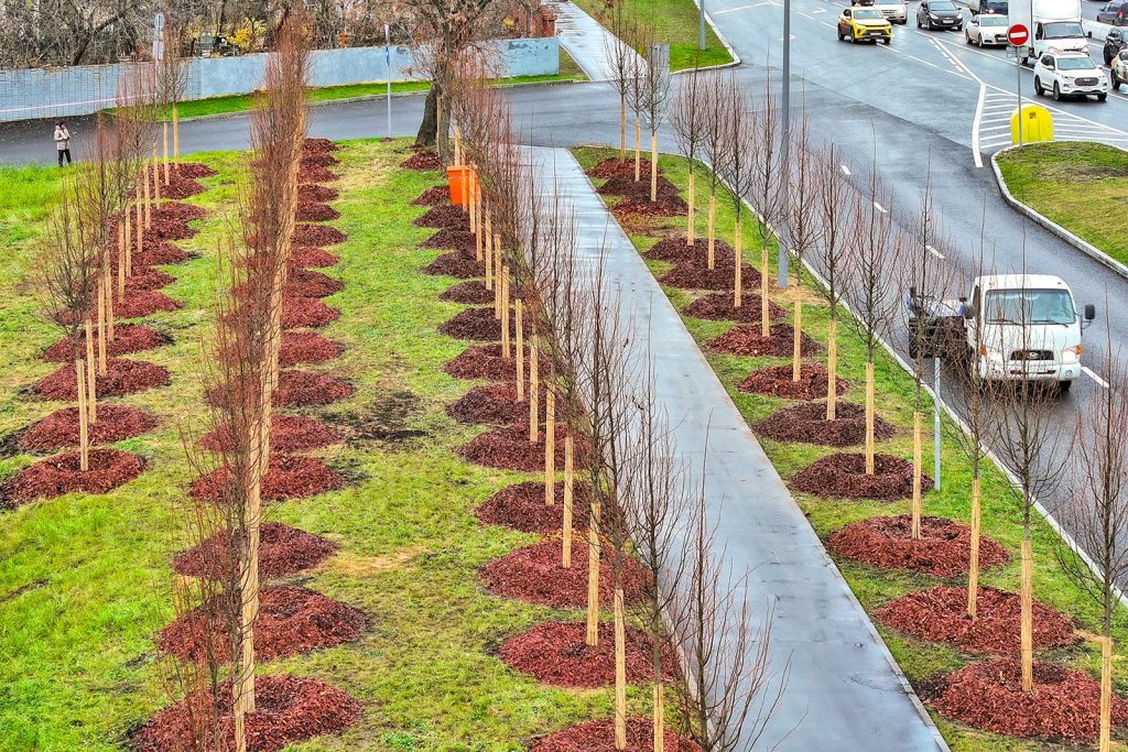 Благоустройство провели на Марксистской улице