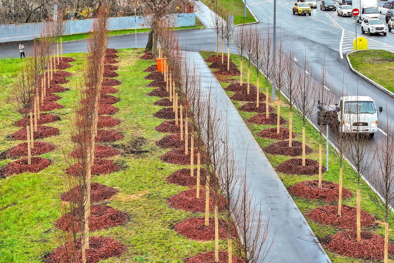 В завершение работ провели озеленение. Фото: пресс-служба Комплекса городского хозяйства Москвы