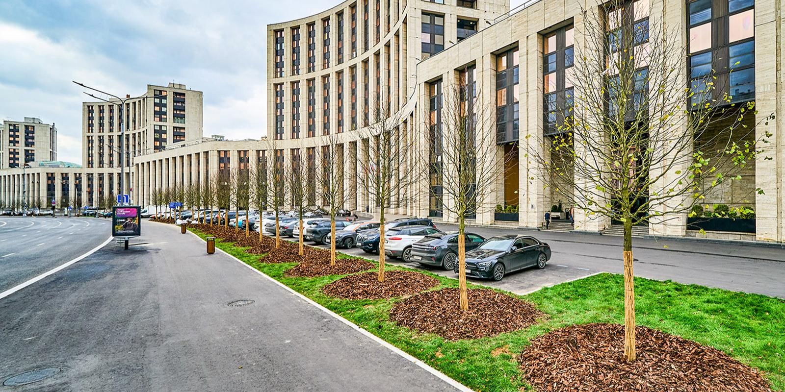 В качестве основного элемента озеленения выбрали мелколесную липу «паллида». Фото: пресс-служба Комплекса городского хозяйства Москвы