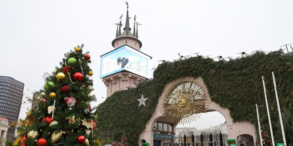«Зимний визит — летний подарок»: акция стартует в Московском зоопарке