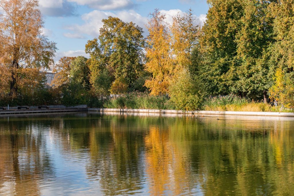 Историю московских прудов в ЦАО рассказали жителям столицы