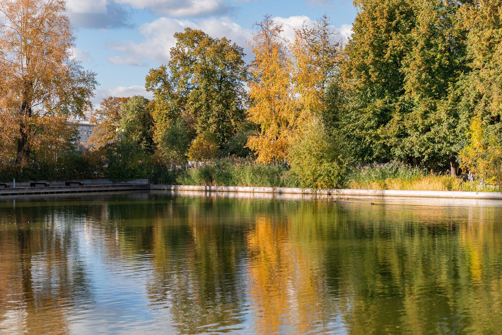 В сердце парка расположен Голицынский пруд, который не замерзает даже зимой благодаря искусственной полынье. Фото: пресс-служба Департамента культуры города Москвы