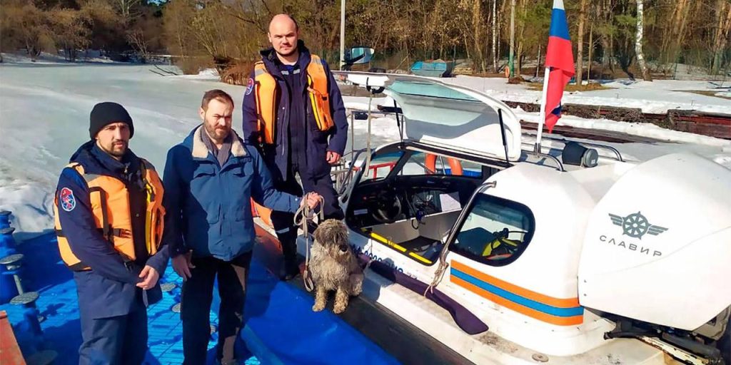 Истории со счастливым концом: как столичные спасатели помогают животным