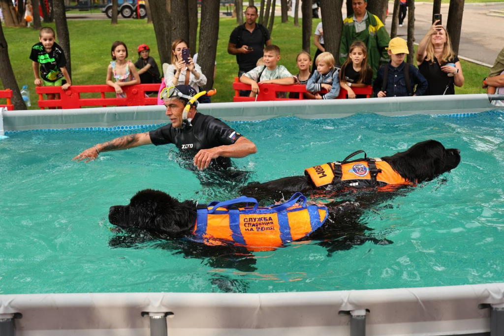 Встреча с героями: добровольцы и собаки, обеспечивающие безопасность на водных объектах столицы