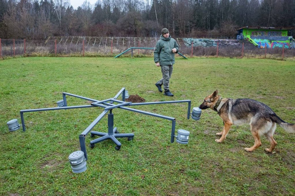 Зеленоград готовит служебных собак для работы в зоне СВО
