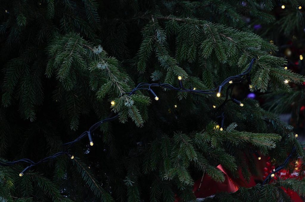 Сверкающие огнями елки – непременный атрибут Нового года