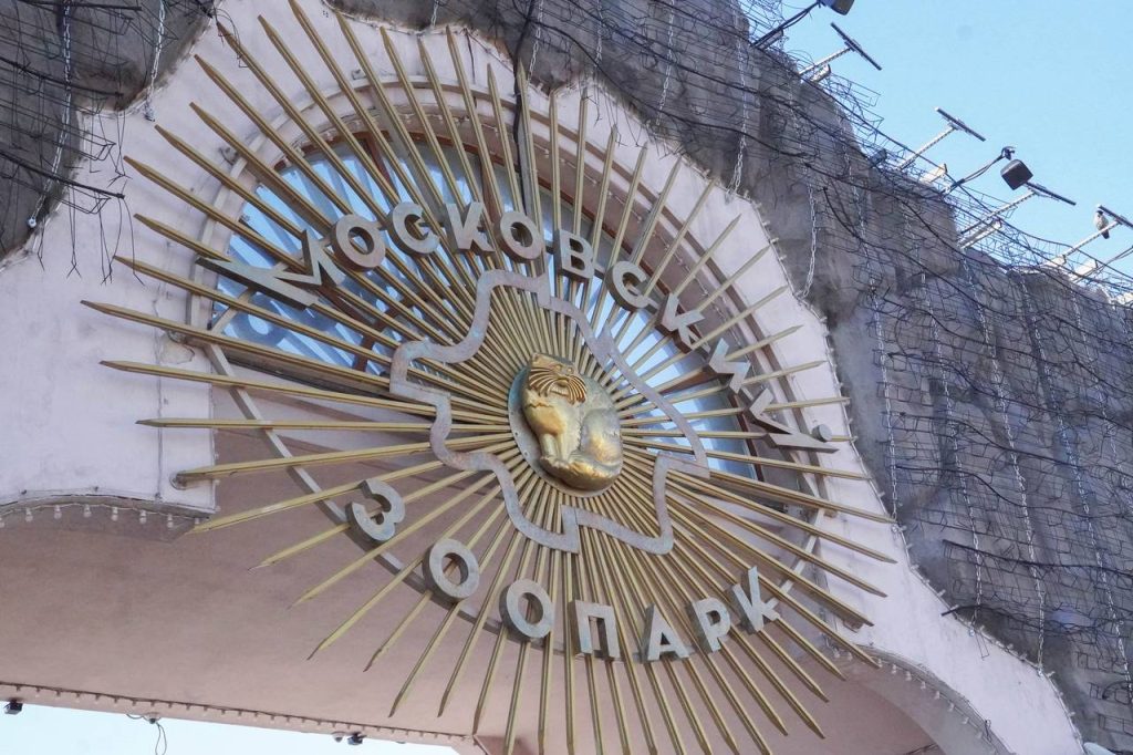 Несколько птиц перевезли на центральную территорию Московского зоопарка