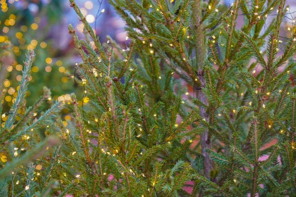 Дед Мороз навестит семьи бойцов СВО и ветеранов в Басманном районе