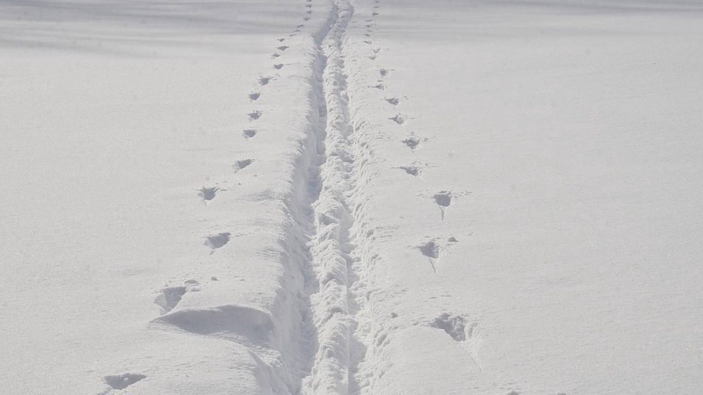 В день рождения российского лыжного спорта сотрудница спецподразделения столичной Росгвардии рассказала об увлечении зимним спортом