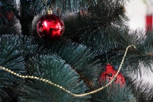 Фото: Анна Быкова, «Вечерняя Москва»