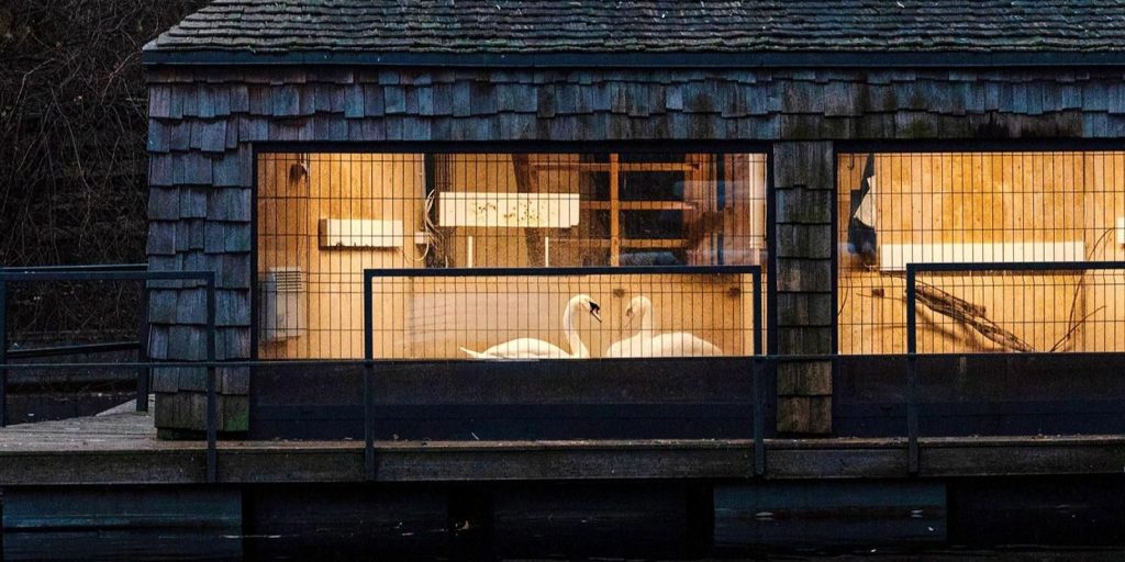 Животные из Парка Горького готовы к зиме, или Москвичам рассказали об утеплении вольеров