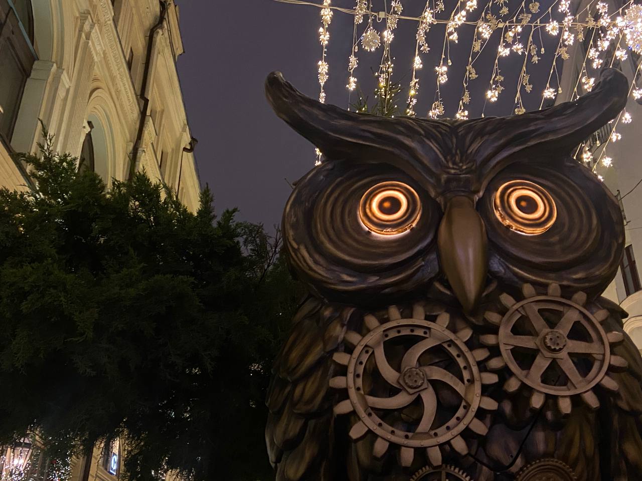 В этой локации можно получить уникальные кадры с совой. Фото: Анастасия Петрова, «Вечерняя Москва»