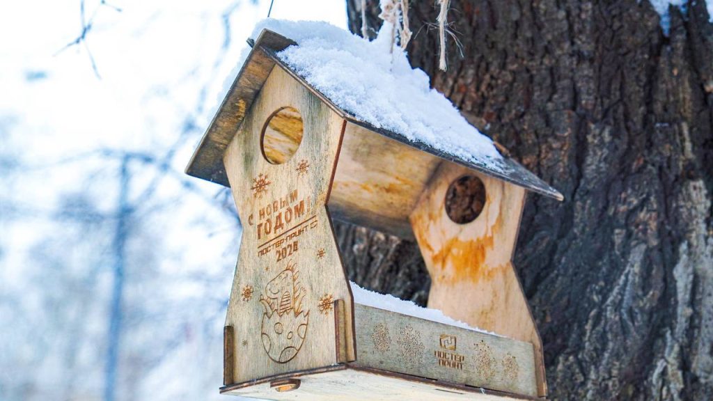 Синоптик пообещала москвичам небольшое потепление в начале следующей недели