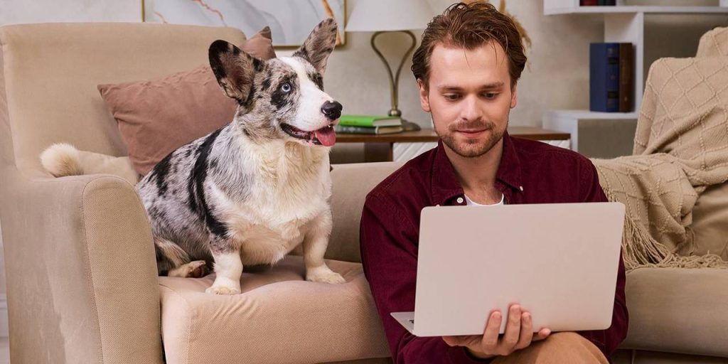 Владельцам домашних животных стали доступны онлайн-консультации ветврачей