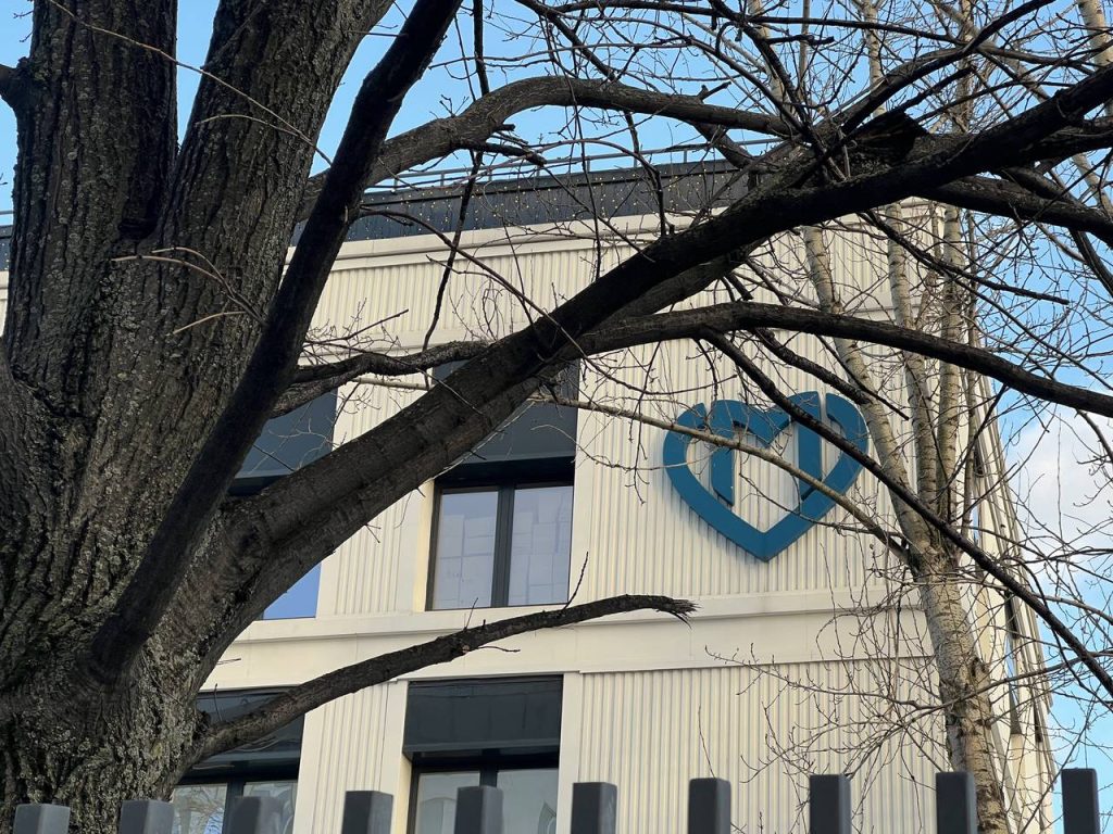 В Москве ИИ-сервис начал автоматически выявлять остеопороз на ранних стадиях