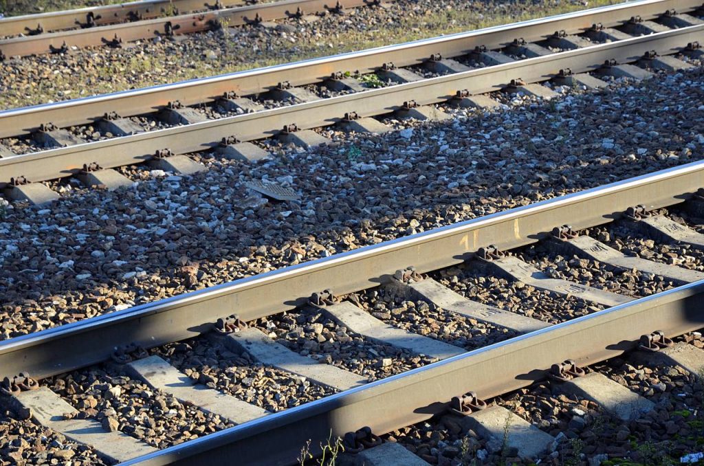 Студенты смогут отправиться на «Ласточках» и «Сапсанах» со скидкой 50% 25 января