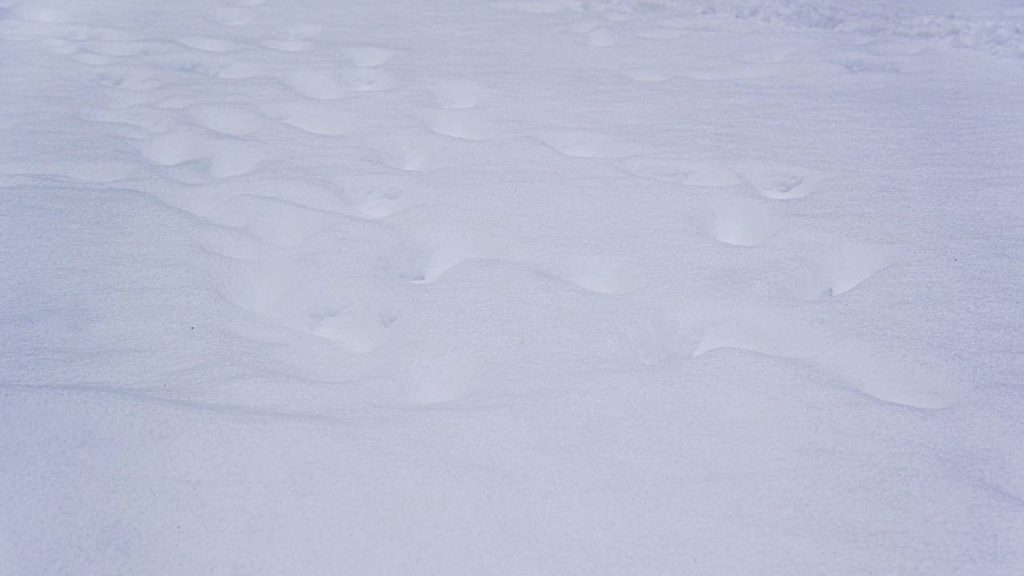 Катаемся безопасно