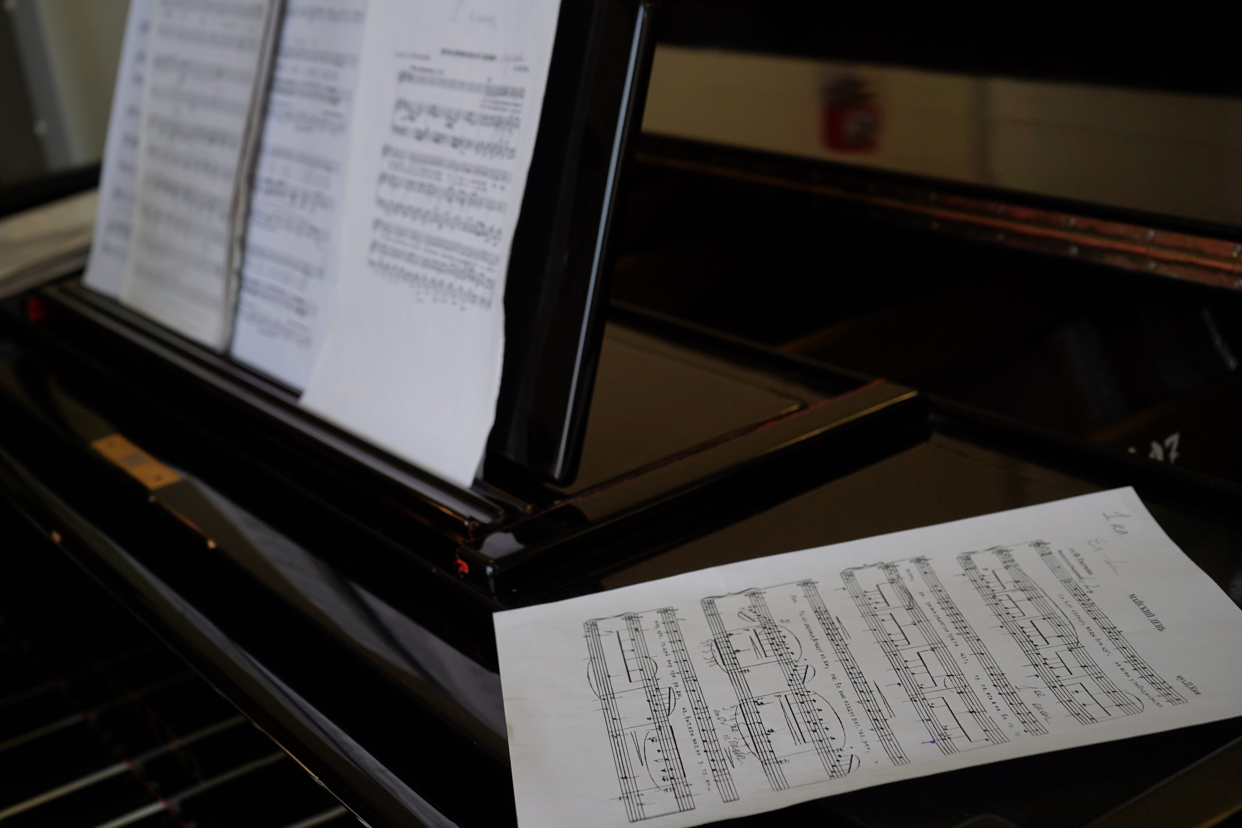 Концерты проводили совместно с кафедрой «Искусство графики» Российского государственного художественно-промышленного университета имени Сергея Строганова и колледжем музыкально-театрального искусства имени Галины Вишневской. Фото: Анна Быкова, «Вечерняя Москва»