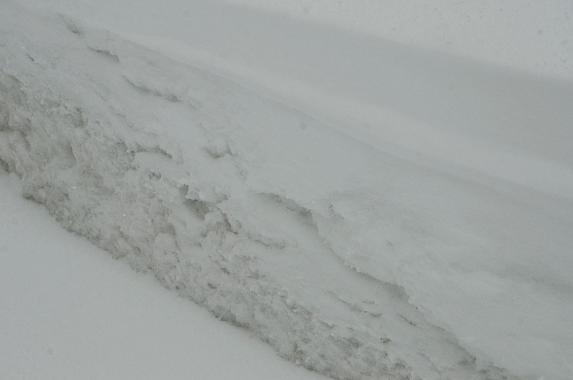 Такую схему работ в городских службах часто применяют, поэтому она доведена до автоматизма. Фото: Анна Быкова, «Вечерняя Москва»