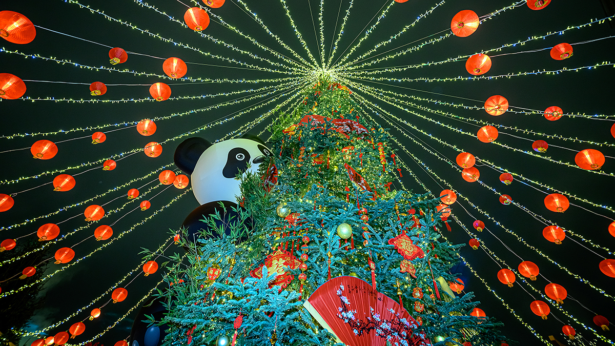 Площадками международного фестиваля в Центральном административном округе также станут Болотная площадь, Московский зоопарк, Центральный детский магазин и гастроквартал «Три вокзала. Депо». Фото: Дмитрий Дубинский, «Вечерняя Москва»