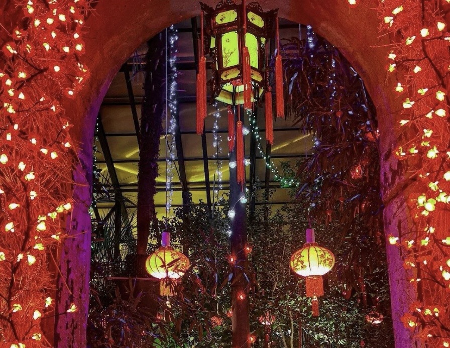 Китайский Новый год отметят в Ботаническом саду МГУ