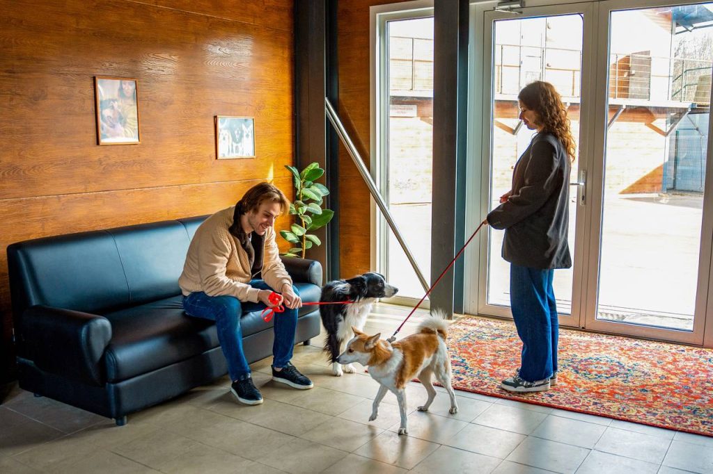 «Моспитомец» помог животным из городских приютов обрести долгожданные семьи