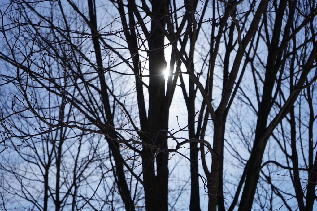 Первая оттепель наступит на этой неделе в Москве