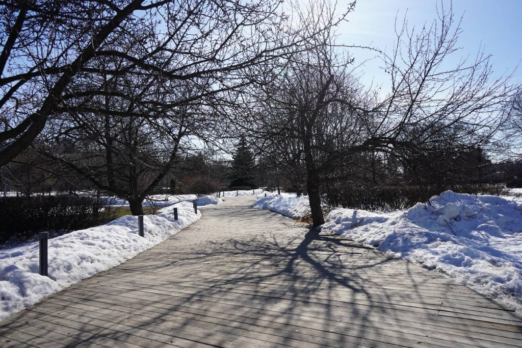 Первая с начала года оттепель наступила в столице