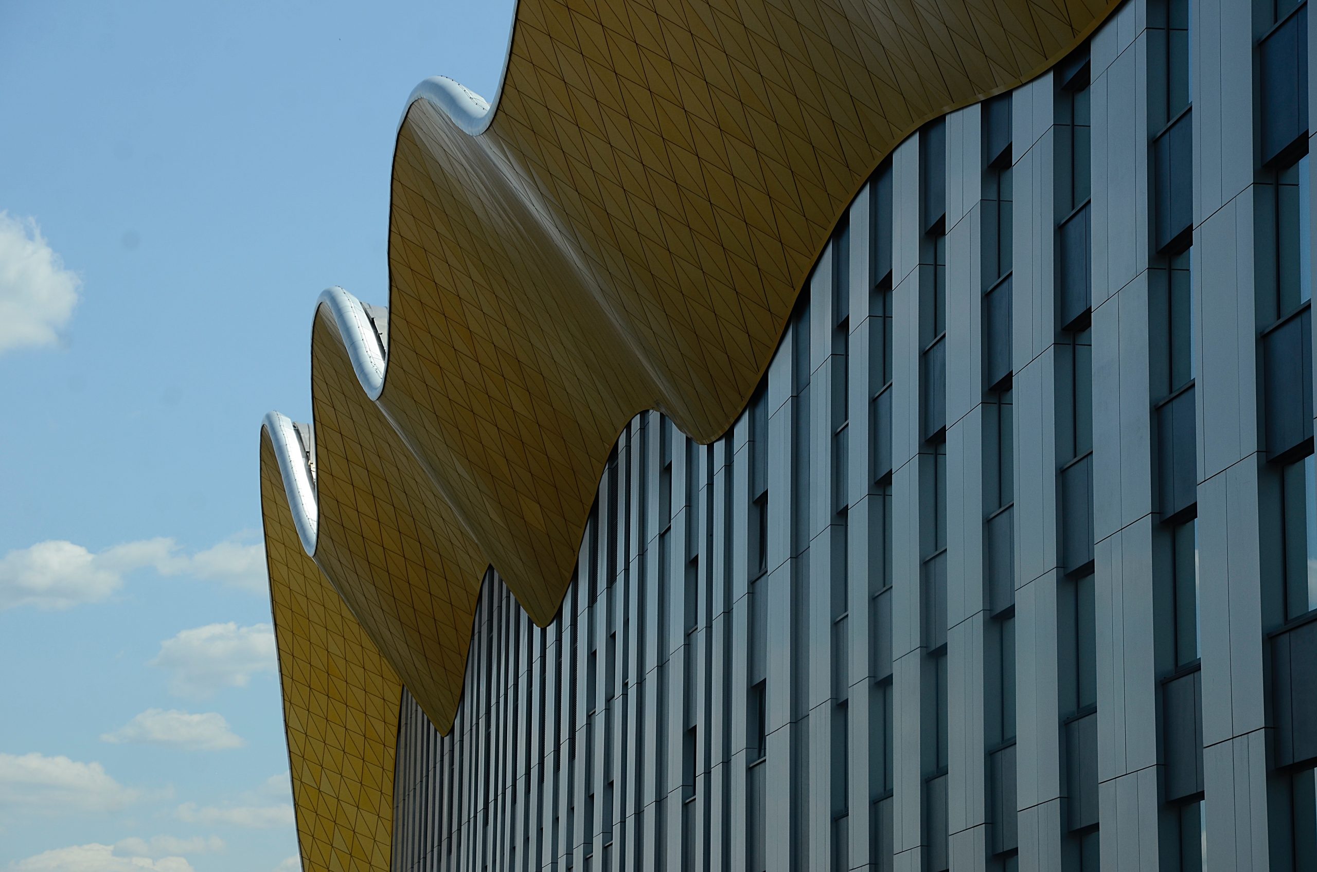 В «Московской сабле» примут участие сильнейшие саблистки и саблисты России. Фото: Анна Быкова, «Вечерняя Москва»