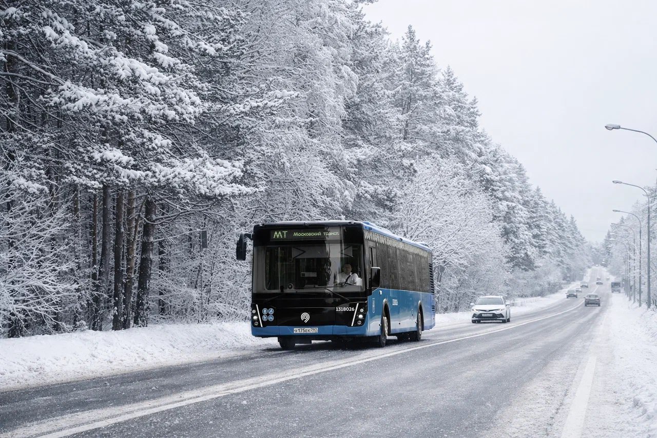 Проезд на крыше наземного транспорта подвергает опасности всех участников дорожного движения. Фото: пресс-служба Транспортного комплекса г. Москвы